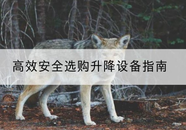 新疆升降货梯厂家推荐-*安全选购升降设备指南