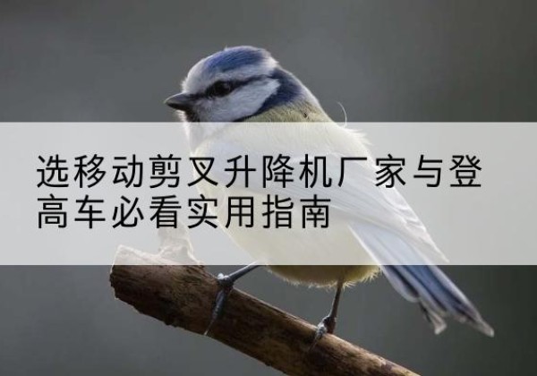 新疆电动升降机厂家-选移动剪叉升降机厂家与登高车必看实用指南