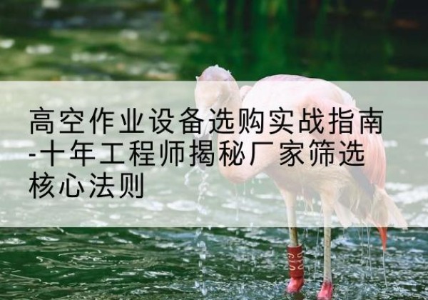 新疆剪叉式升降机厂家-高空作业设备选购实战指南-十年工程师揭秘厂家筛选核心法则